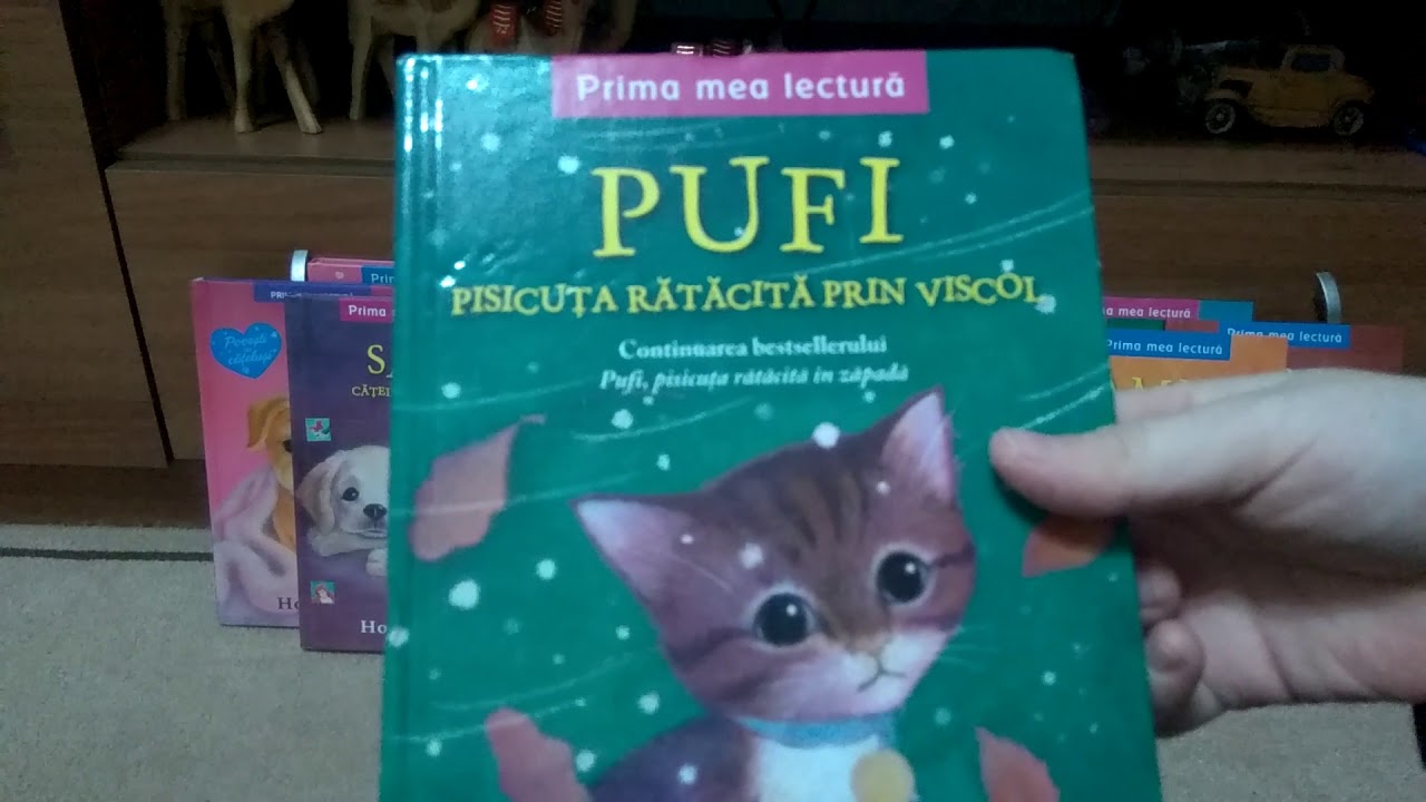 Colecția mea de cărți Holly Webb