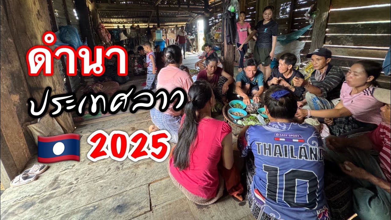 หนุ่มไทยข้ามไปทำนาพ่อตาแม่ยายที่ประเทศลาว🇱🇦🇹🇭 ปี2025