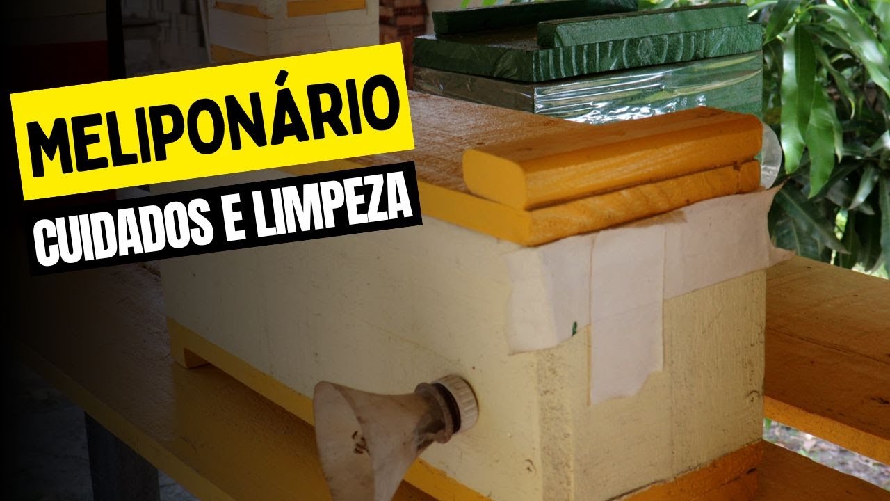 UMA PRAGA ESTÁ INVADINDO MEU MELIPONÁRIO - Cuidado E Limpeza Do Meliponário 