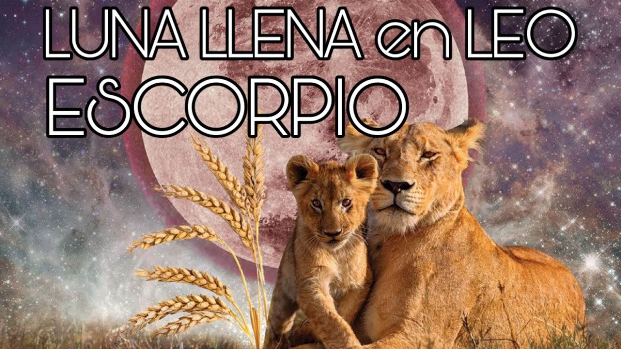 ESCORPIO ♏️ LUNA LLENA EN LEO 1-2-2026…TU NUEVO CAMINO DE ALMA!!!…➡️➡️➡️🙌🏻