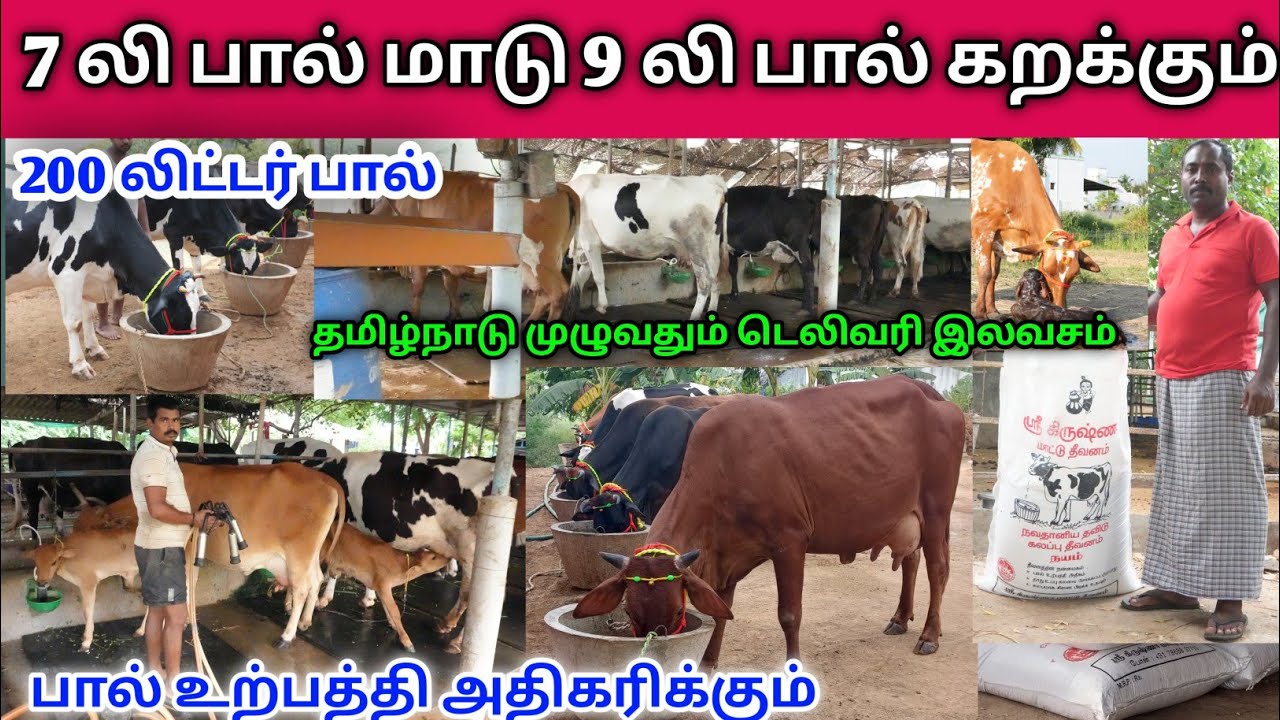 மிக மிக குறைந்த விலையில் அடர் தீவனம் தமிழ்நாடு முழுவதும் இலவச டெலிவரி | கலப்பு தீவனம் விற்பனைக்கு