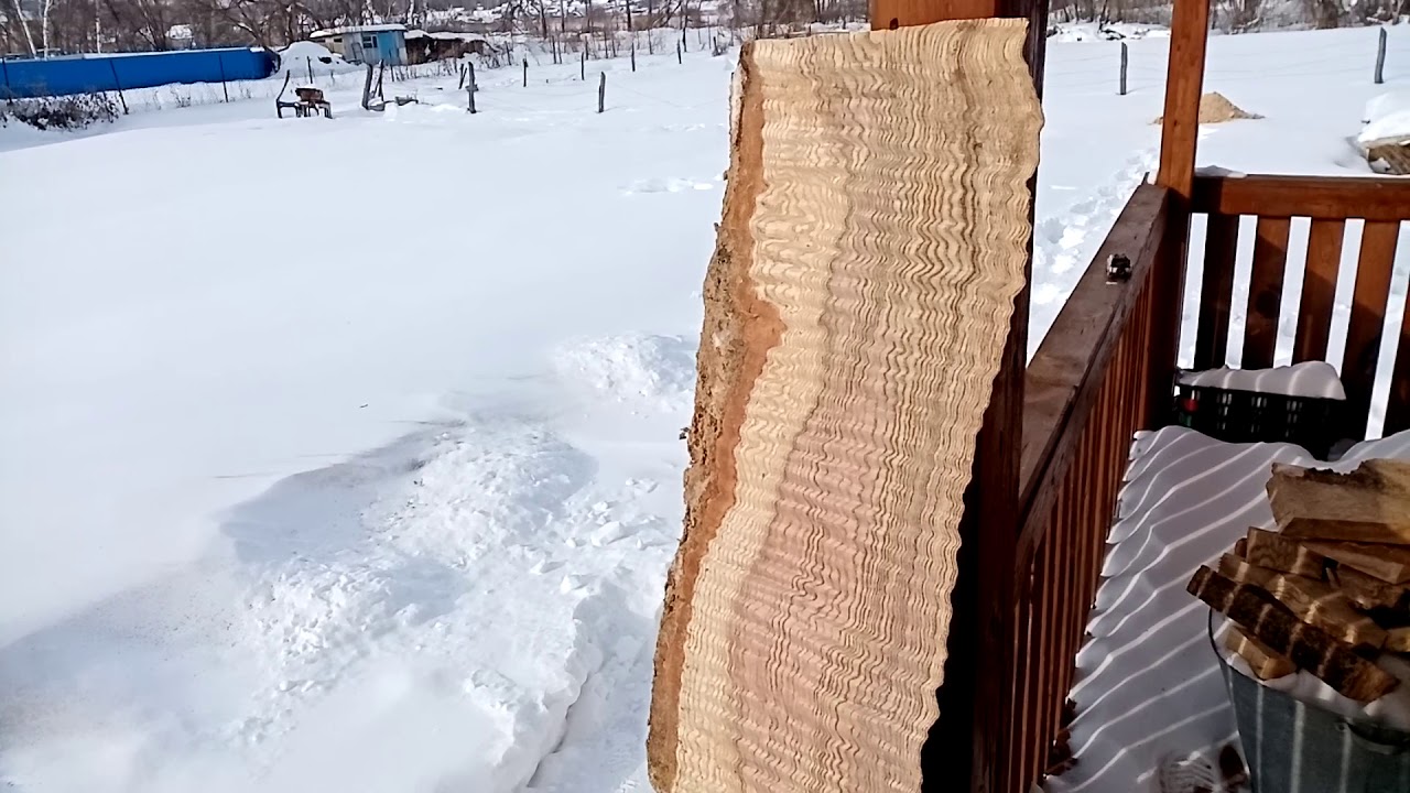 Tamo ash blank (ясень Японский)