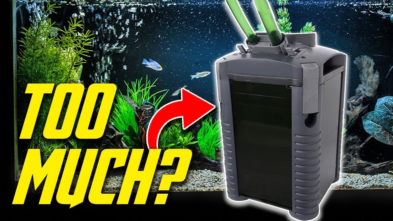 How Much Filtration Does Your Aquarium Need? (Filter Guide)