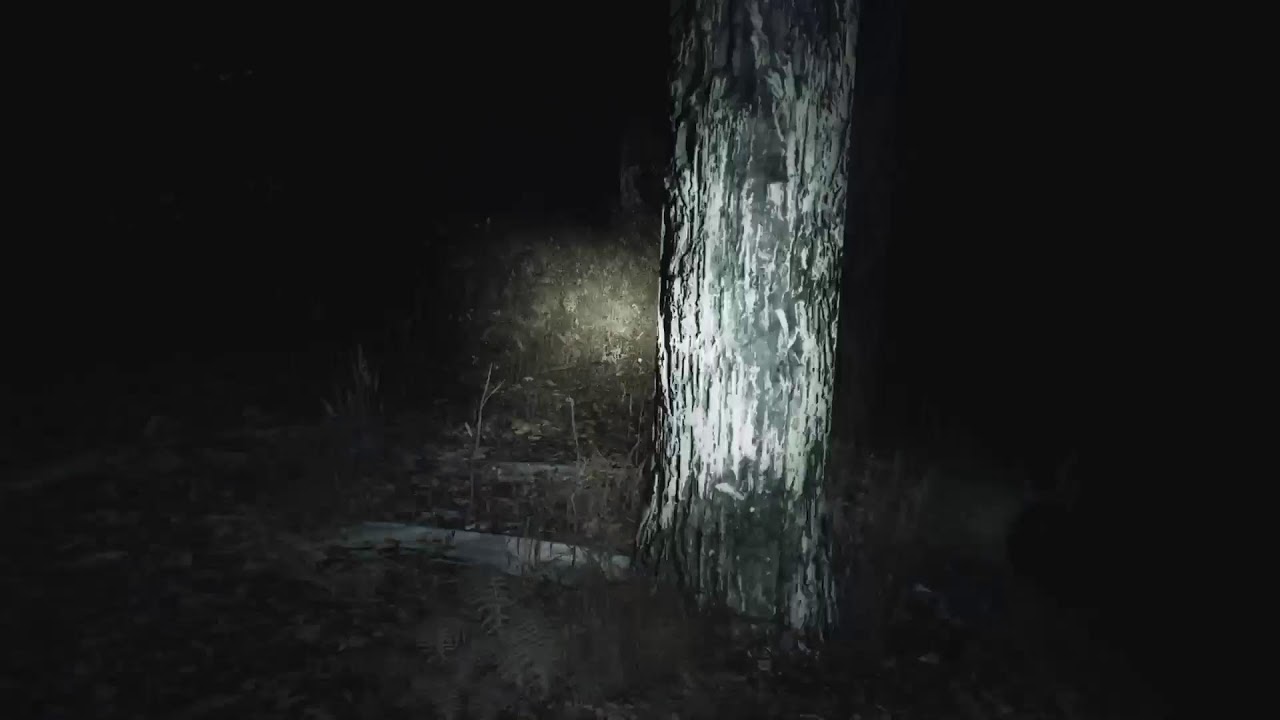 THIS BLAIR WITCH PROJECT P3 INTO MADNESS
