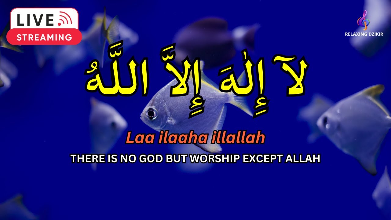 LAILAHAILLALLAH: Sleep Dzikir For Reduce stress #46