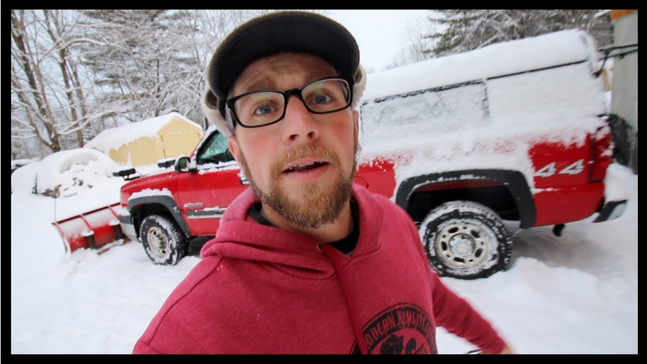 Winter's Here ~ How are the animals liking the SNOW~Modern Steader Update