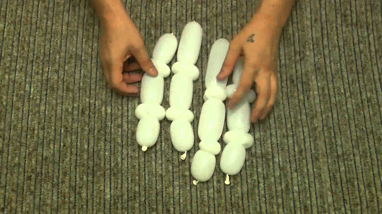 Dove of balloons Twisting