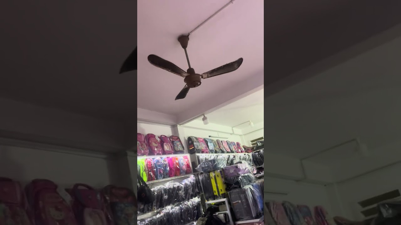 Quạt Trần Lucky bị lắc và hơi kêu.