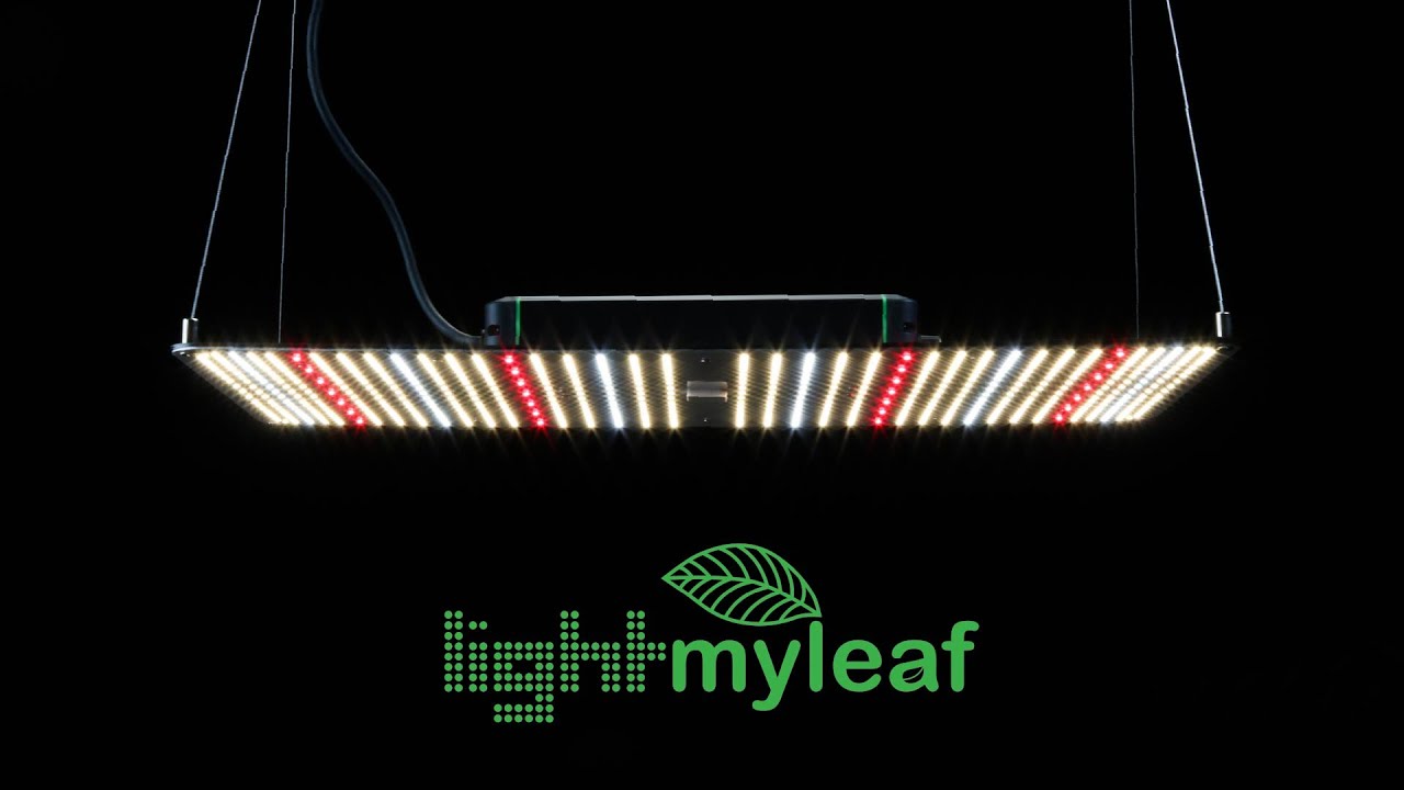 Тест и обзор PAR-лампы Lightmyleaf 240WLED