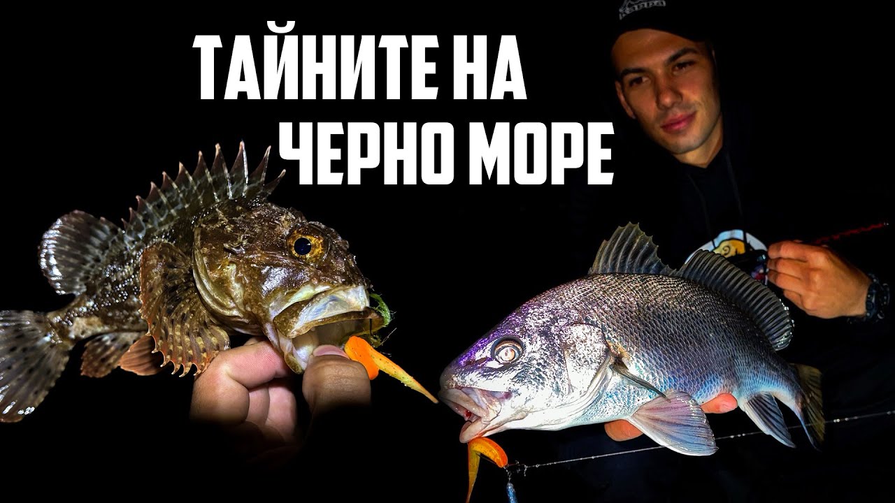 Риболов на врана, скорпид, сафрид, зарган!