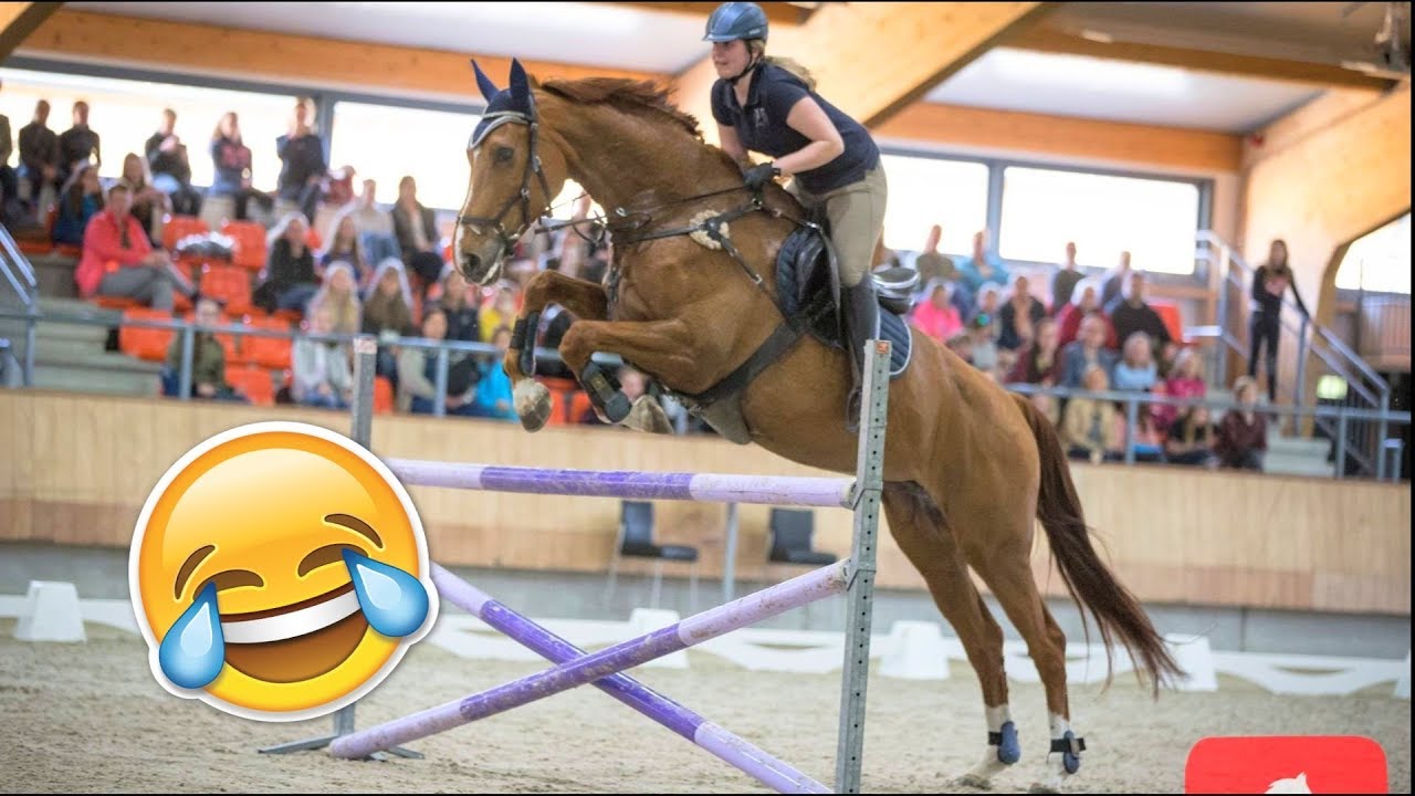 Paardenyoutubers in het wild... HAHHA wees gewaarschuwd - PYLE18 | Zaressa