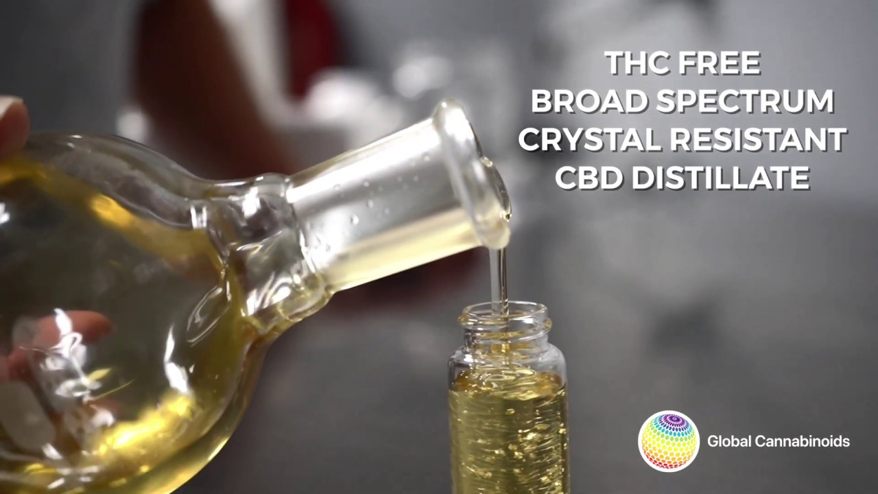 Global Cannabinoids | THC Free Crystal Resistant CBD Distillate