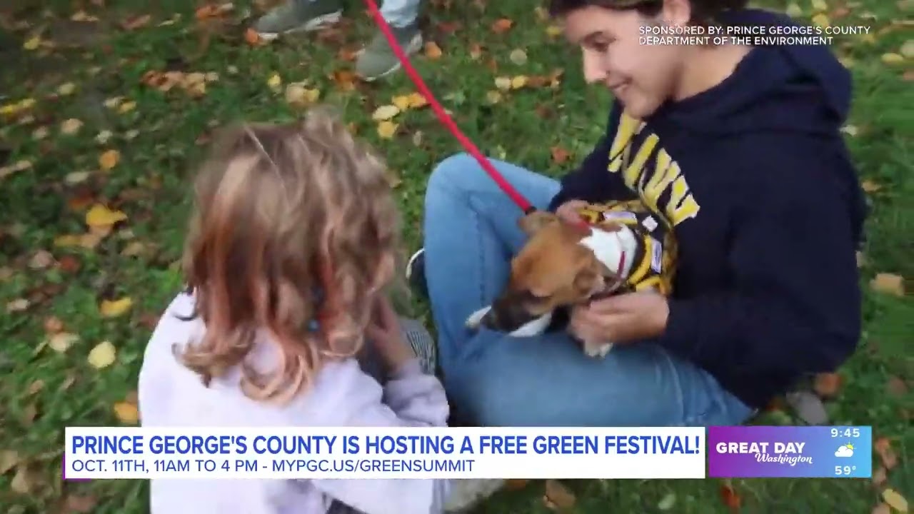 PGC Green Festival 2025 - David C. Driskell Community Park, Saturday, October 11, 11 a.m. – 4 p.m.