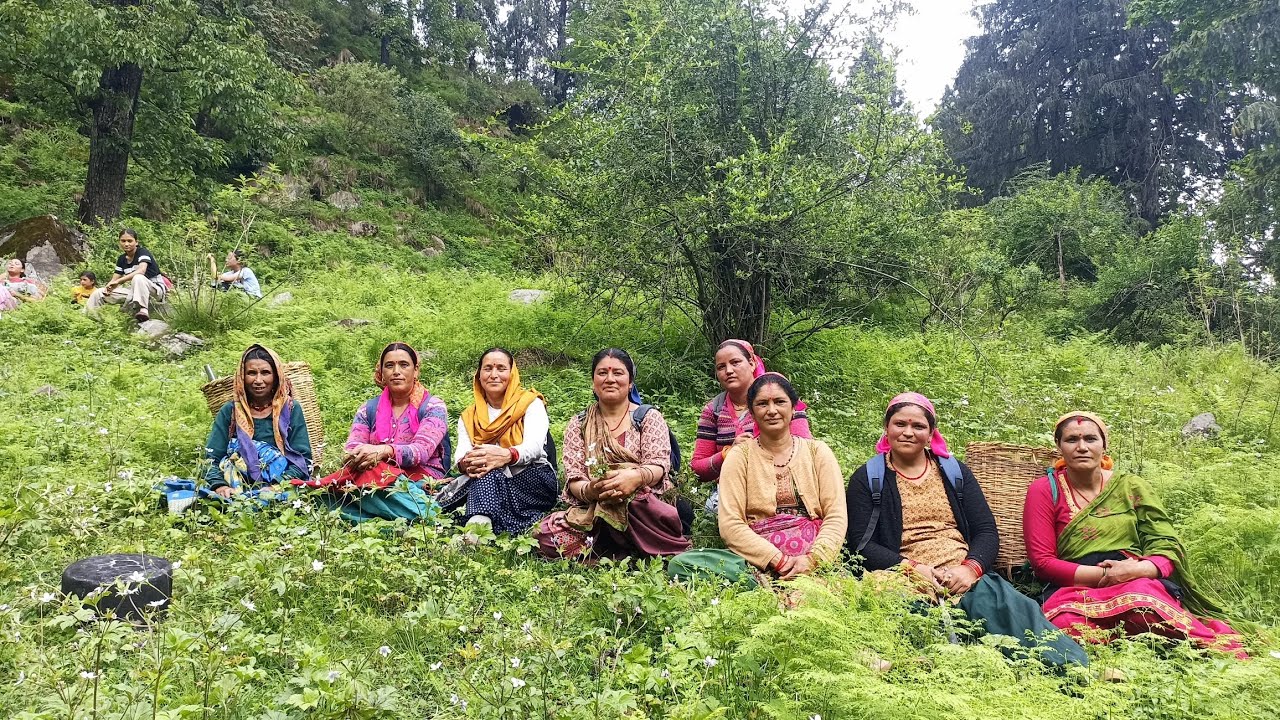 आज जंगल में ग्वाल देवता की पूजा में सब लोग गए