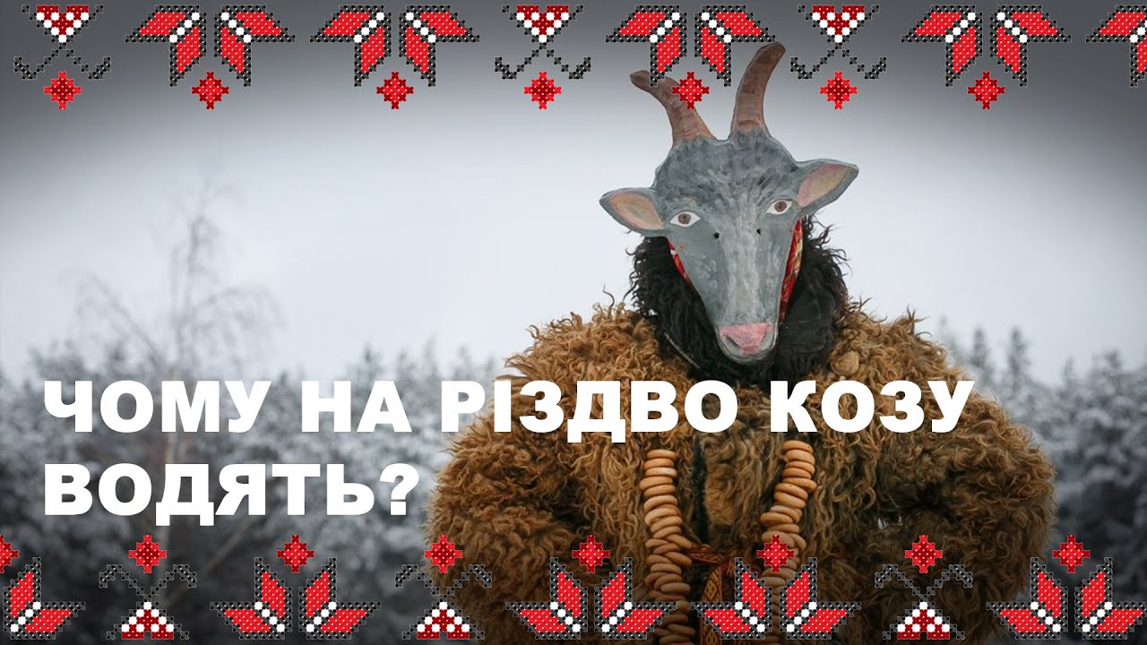 🔴 Коза —  Коло ззовні, а Берези — його рух