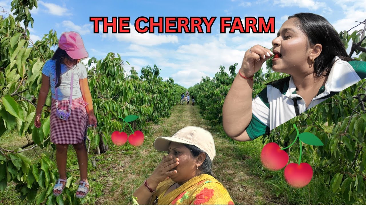 We Drove 2 Hours for Cherries?! 🍒 | 𝗖𝗵𝗲𝗴𝘄𝗼𝗿𝘁𝗵 𝗩𝗮𝗹𝗹𝗲𝘆 𝗖𝗵𝗮𝗼𝘀