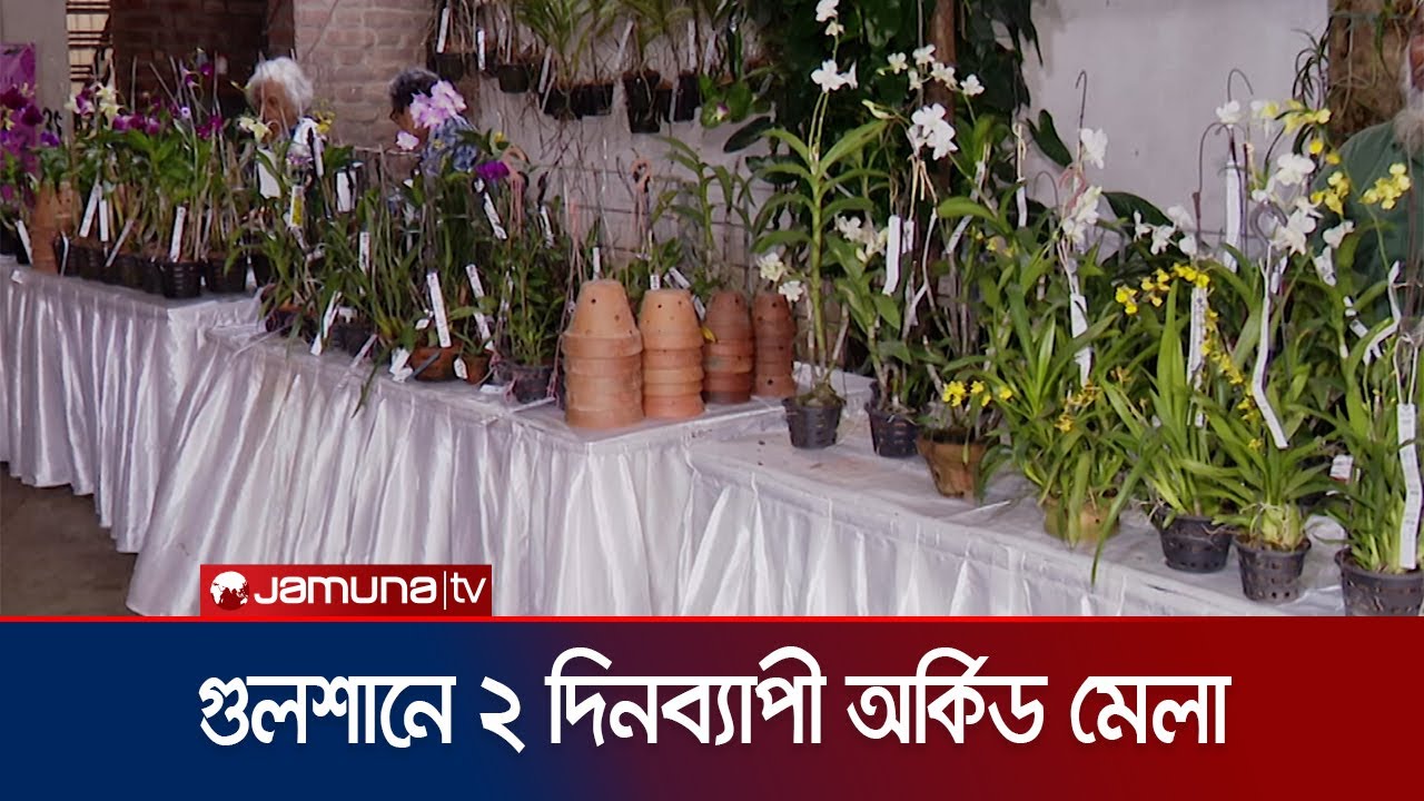 রাজধানীর গুলশানে শুরু হলো দু'দিনব্যাপী অর্কিড মেলা | Bangladesh Orchid Show | Jamuna TV