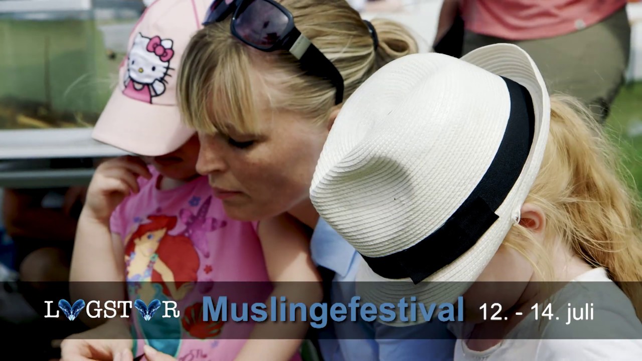 Løgstør Muslingefestival 2019