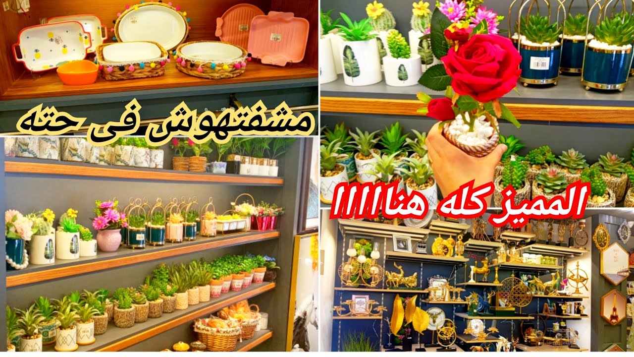 فرع جديد للملوانى ديكور هوم 🥰اول مره اروحه العرايس كلها تجمع هنا مميز جدا🤑زرع وورد وديكورات للمطبخ