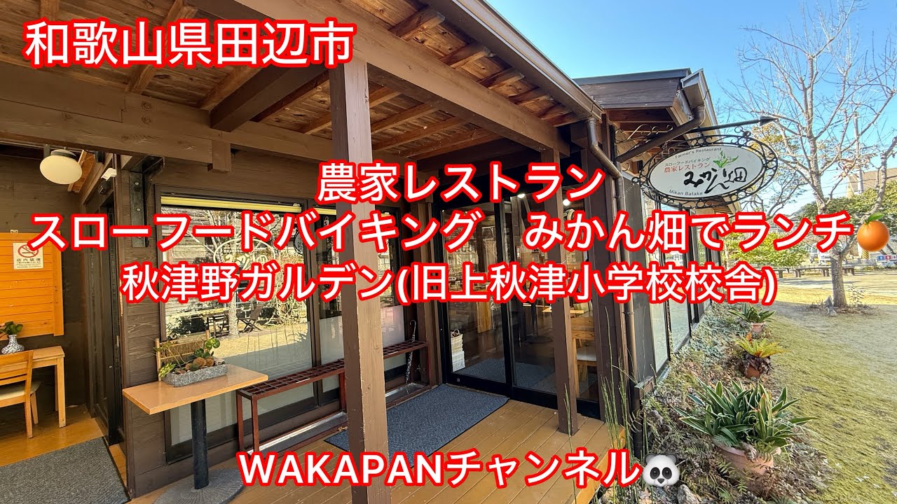 和歌山県田辺市　農家レストラン　スローフードバイキングみかん畑でランチ🍊秋津野ガルデン(旧上秋津小学校校舎)WAKAPANチャンネル🐼