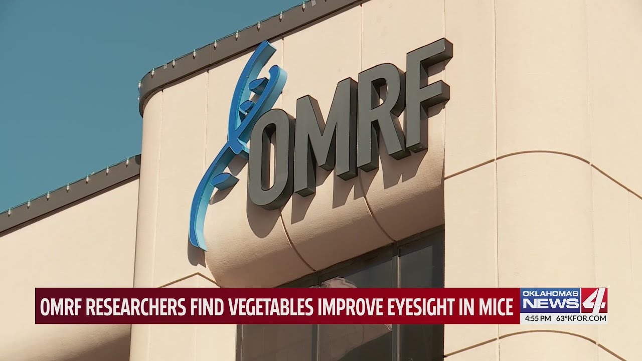 OMRF researchers find vegetables improve eyesight in mice