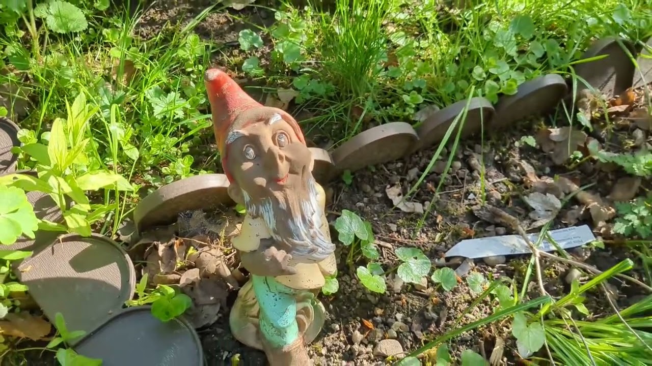 Gartenrundgang im Mai 2025