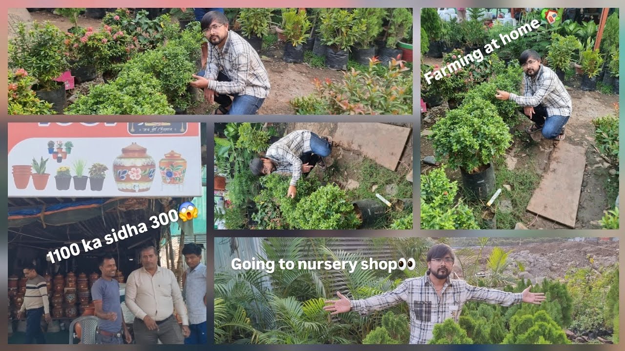 Going to nursery shop and buying some plants 🪴 #rjvlogs #rj #vlog #nursery #dailyvlog #plants 