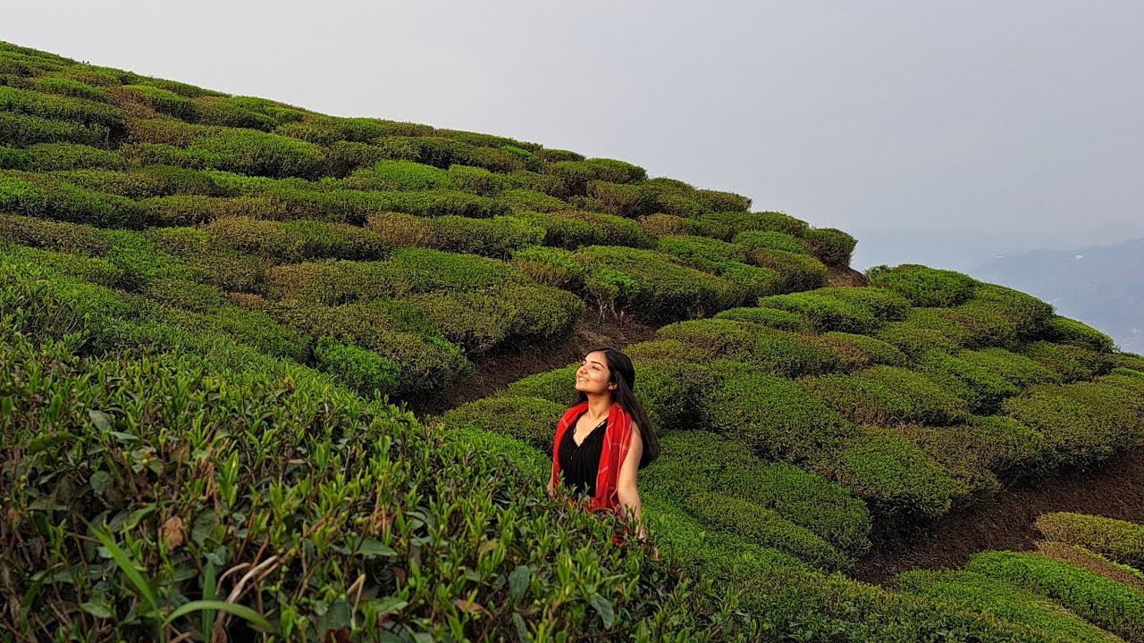 Ilam Tour| Kanyam | Shree Antu | Jhapa | 4 Days