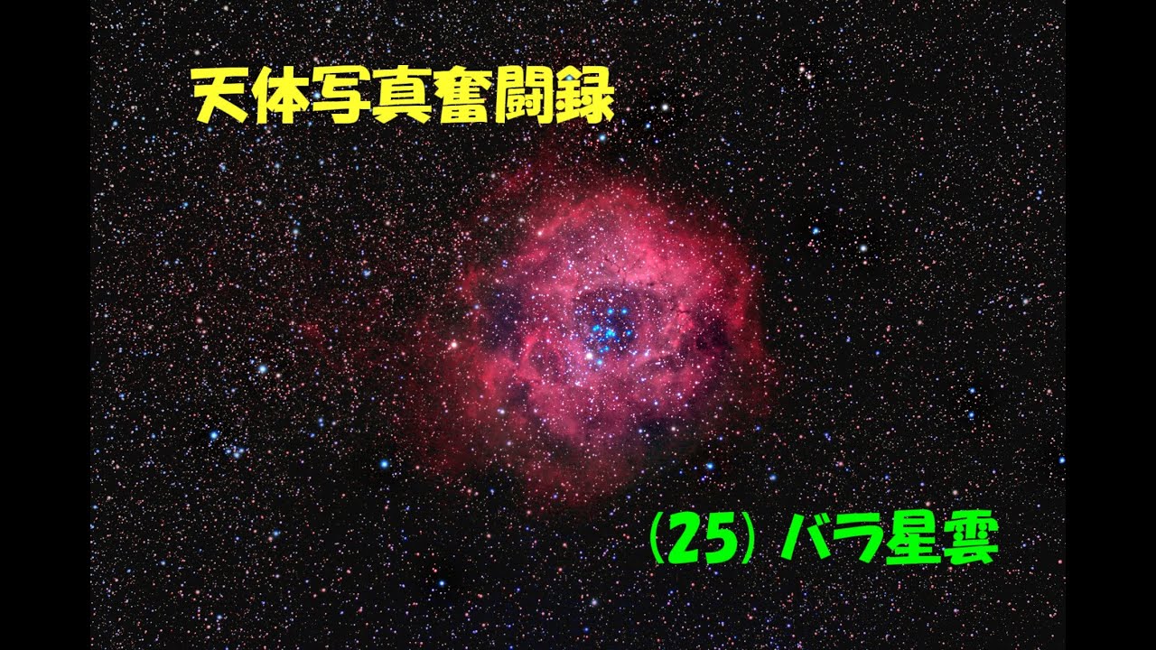 天体写真奮闘録 (25) バラ星雲