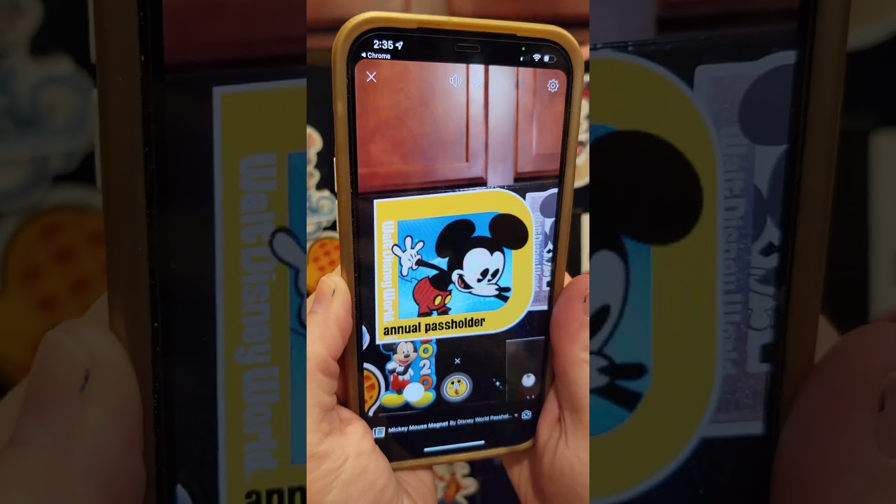 Here is something cool you can do with your Disney World Annual Passholder Magnet!