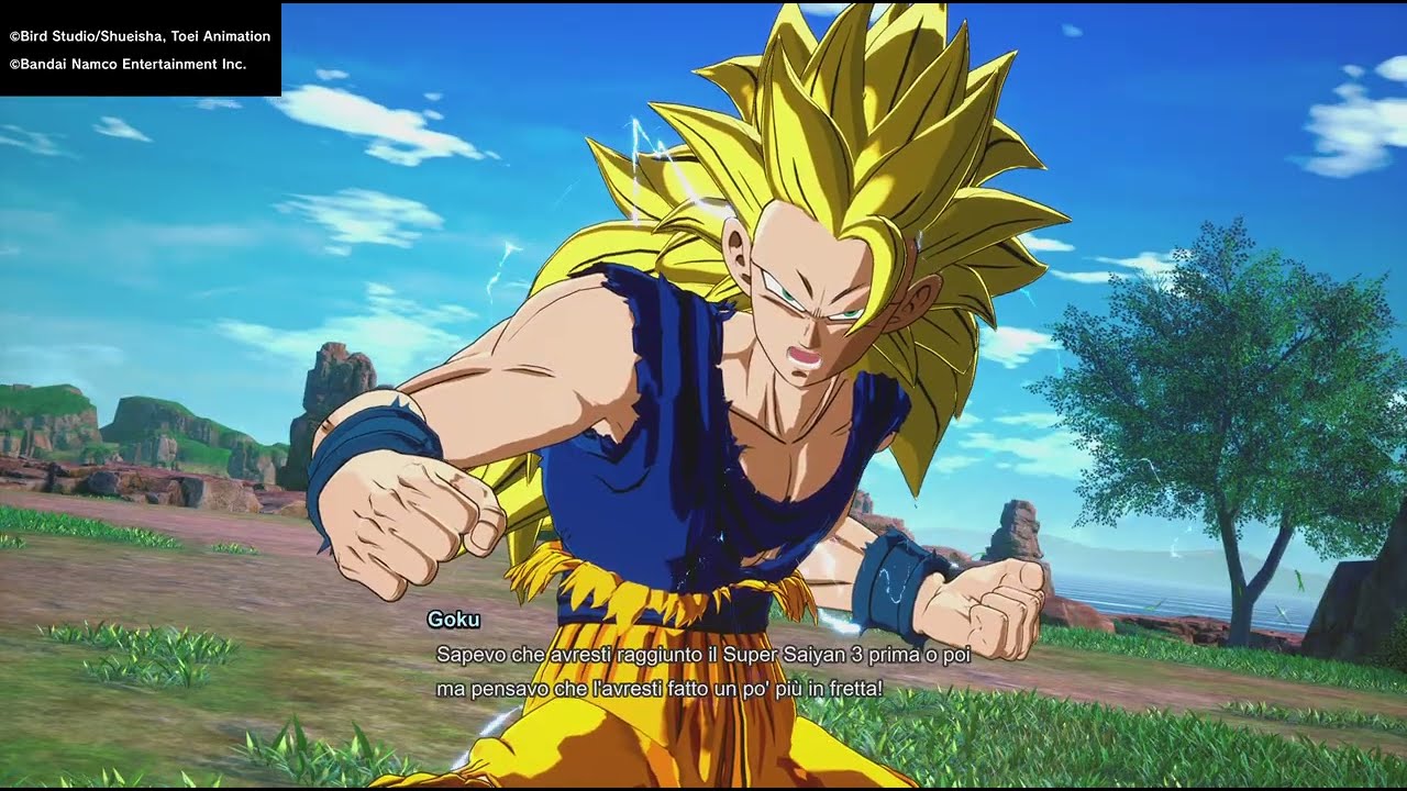 Goku SSJ 3 VS Vegeta SSJ 3 (Richiesta mia) SZ