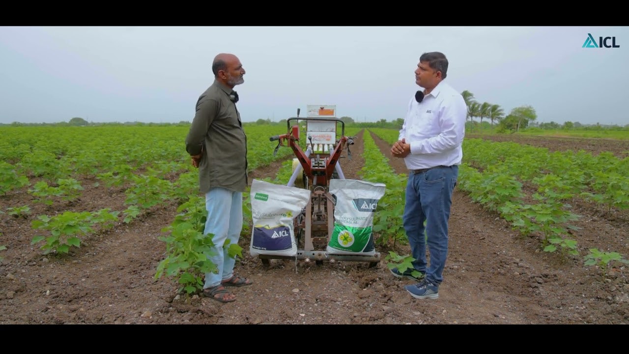 ICL Farmer Testimonial | Polysulphate Premium | Alpeshbhai Mori | Cotton | ICL India