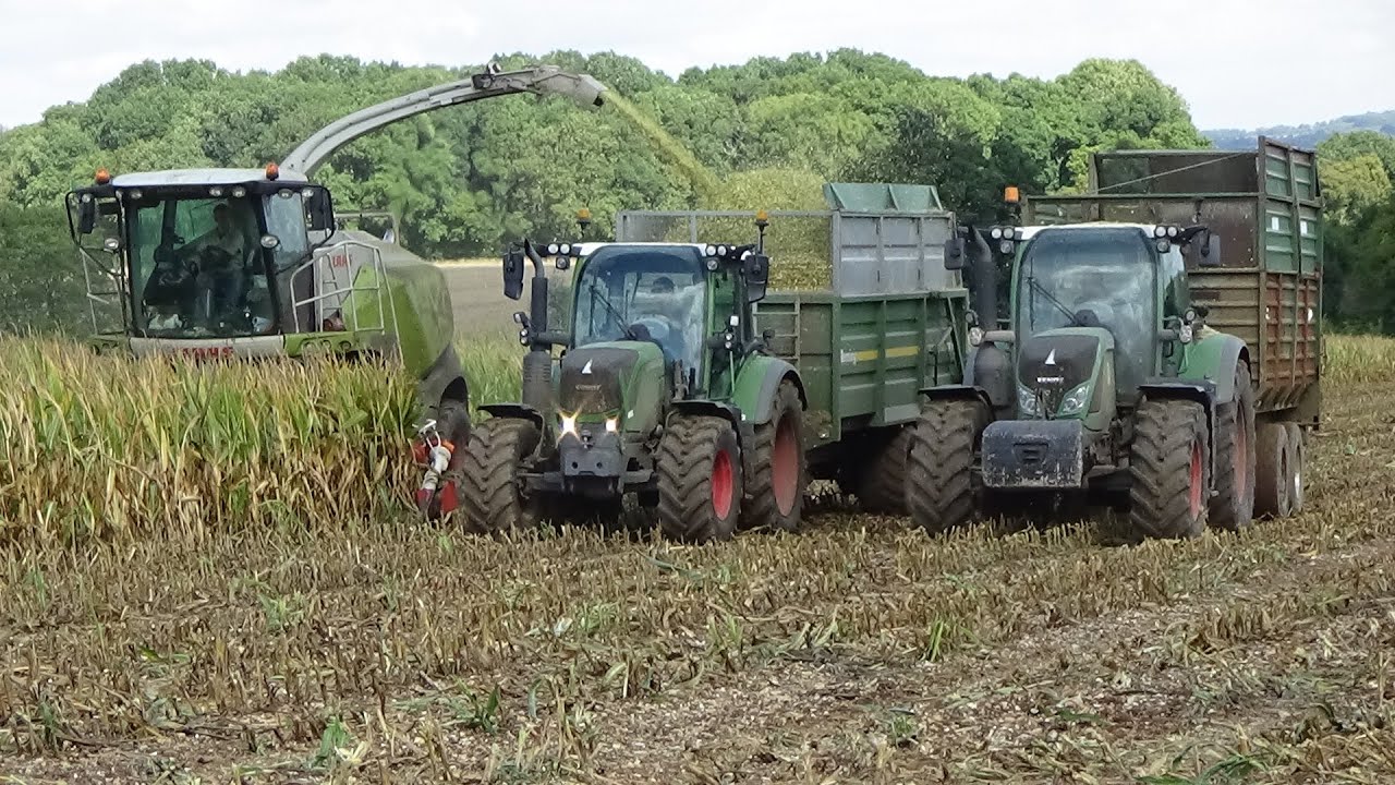 Maize Harvest 2022 with Claas Jaguar 840, John Deeres, Fendts & Massey Ferguson 8S