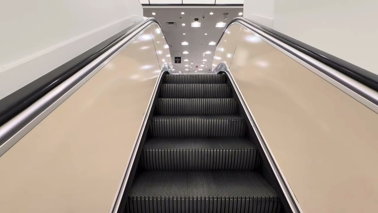 Montgomery Double-File Escalators ~ JCPenney - The Avenues ~ Jacksonville, FL