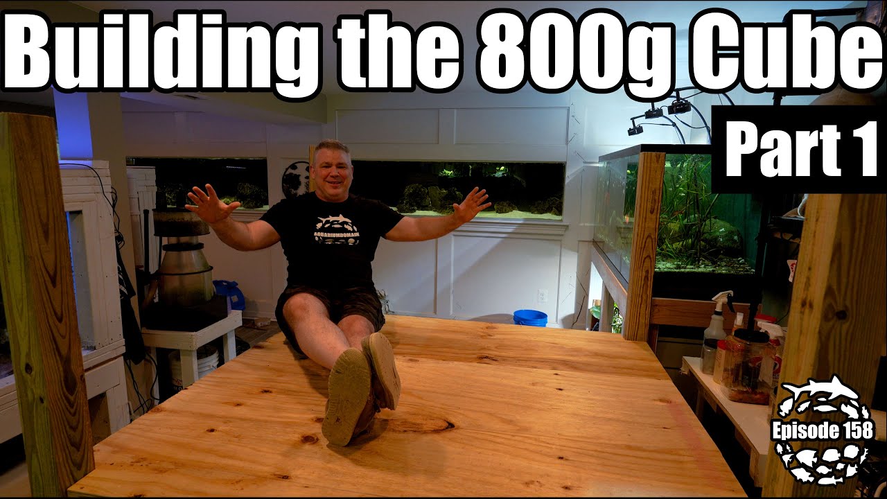 Building the 800 Gallon Cube Aquarium - Part 1