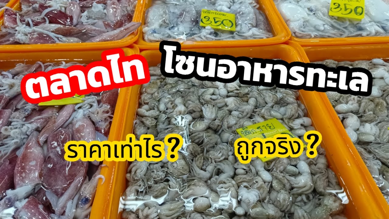 ตลาดไท Ep.2 อาหารทะเลเยอะมาก มีให้เลือกหลากหลาย #อาหารทะเล #ตลาดไท