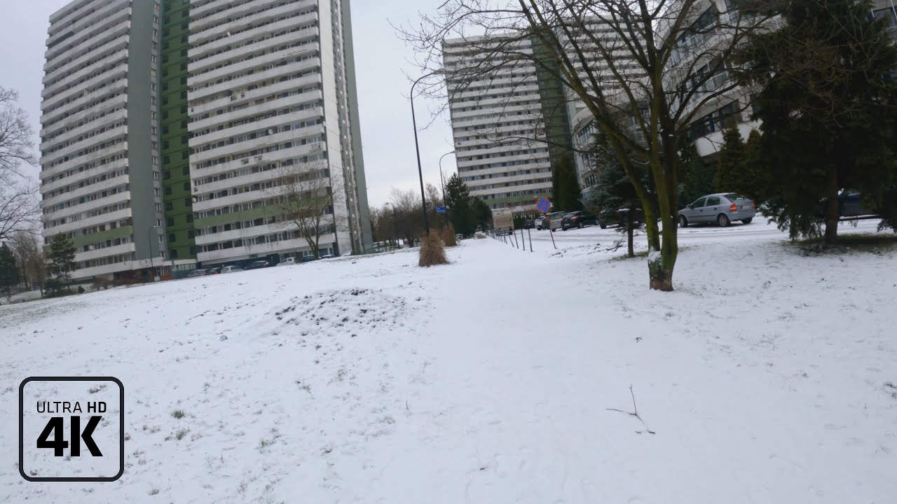 Surroundings Walks 4K - Walk through the 