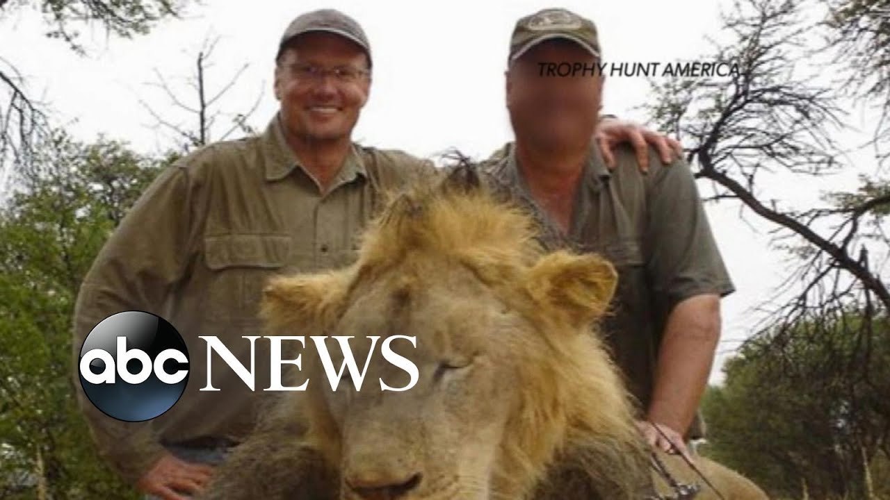 American Dentist Walter Palmer's Past Hunting Troubles