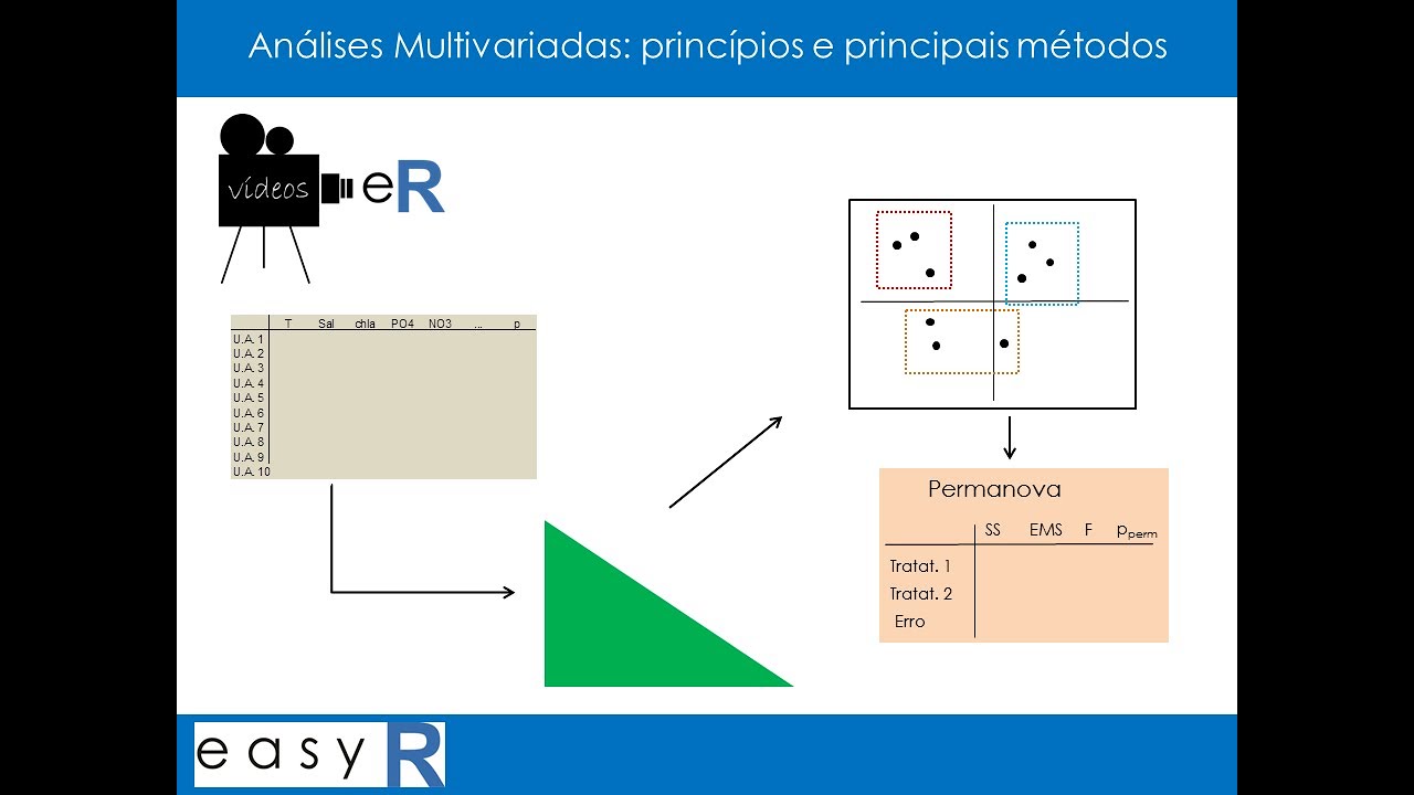 An&aacute;lises Multivariadas: princ&iacute;pios e principais m&eacute;todos | eR V&iacute;deos #32