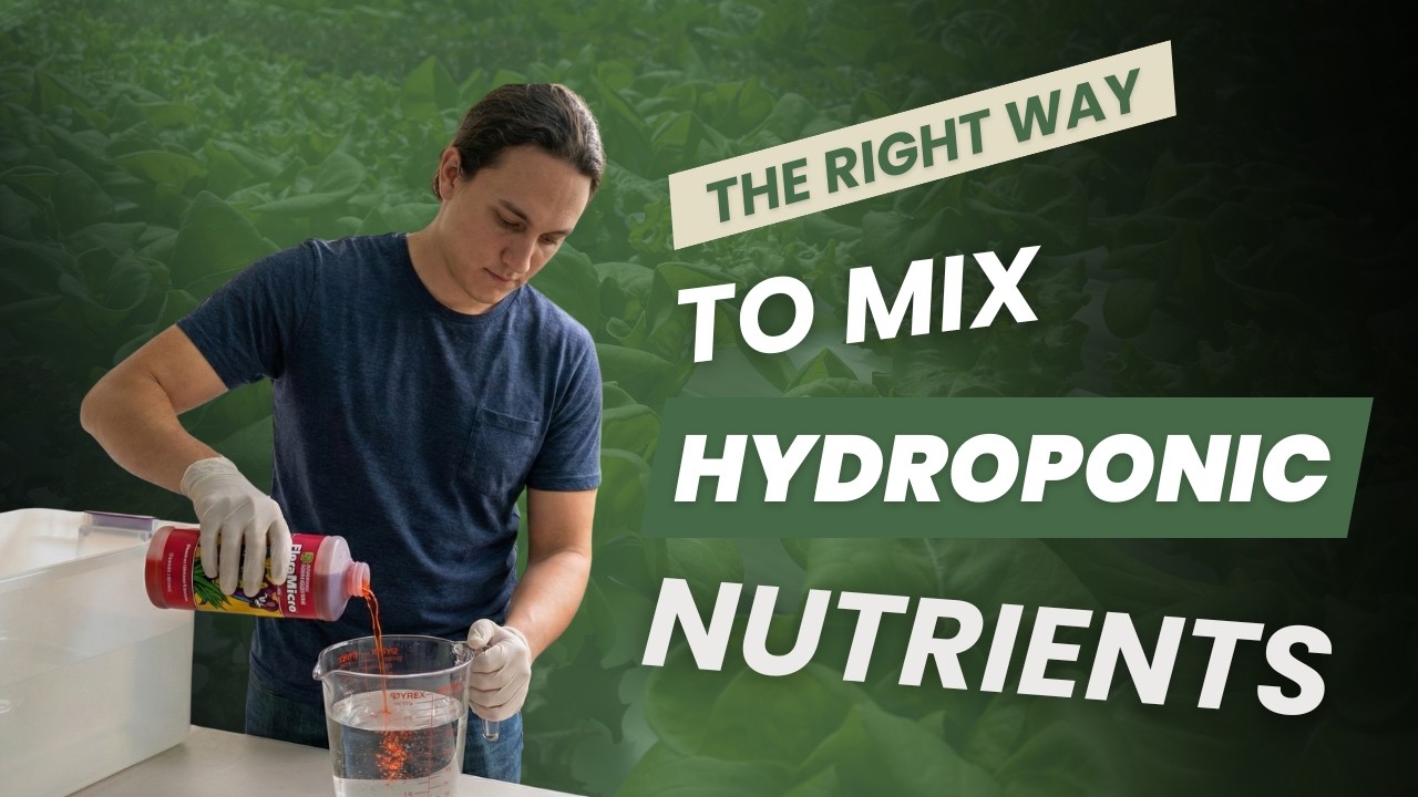 Mixing mineral solution for hydroponic growing.