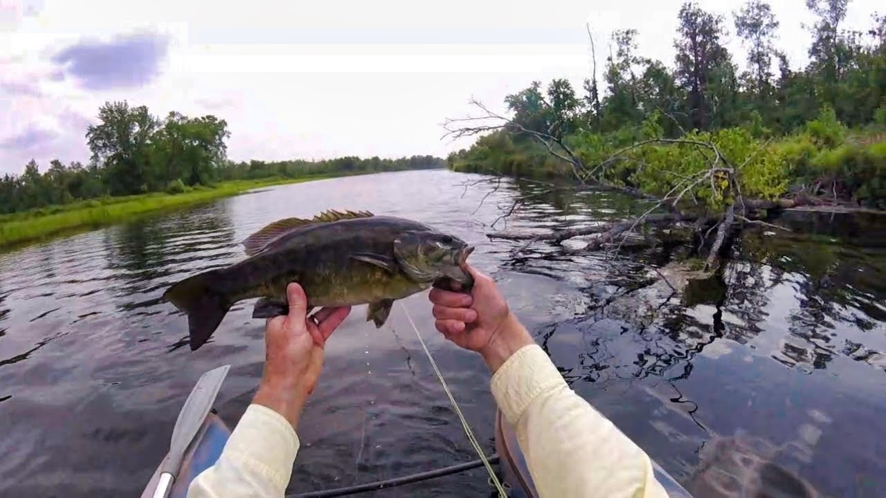 Up Close and Personal: One Of My Best Smallmouth Days Ever