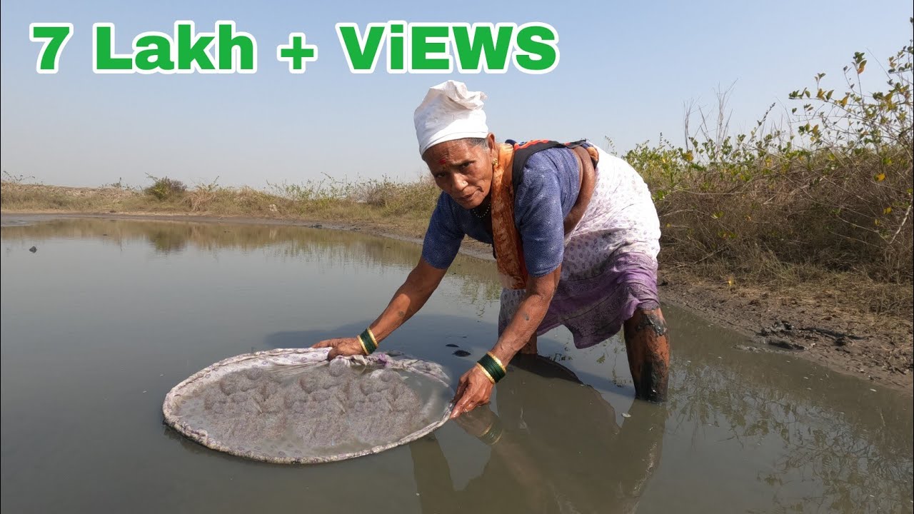 खाडीतून पकडला जिवंत कोलीम आणि आयव नी बनवल्या दोन प्रकारच्या चवदार रेसिपी | TINY SHRIMP