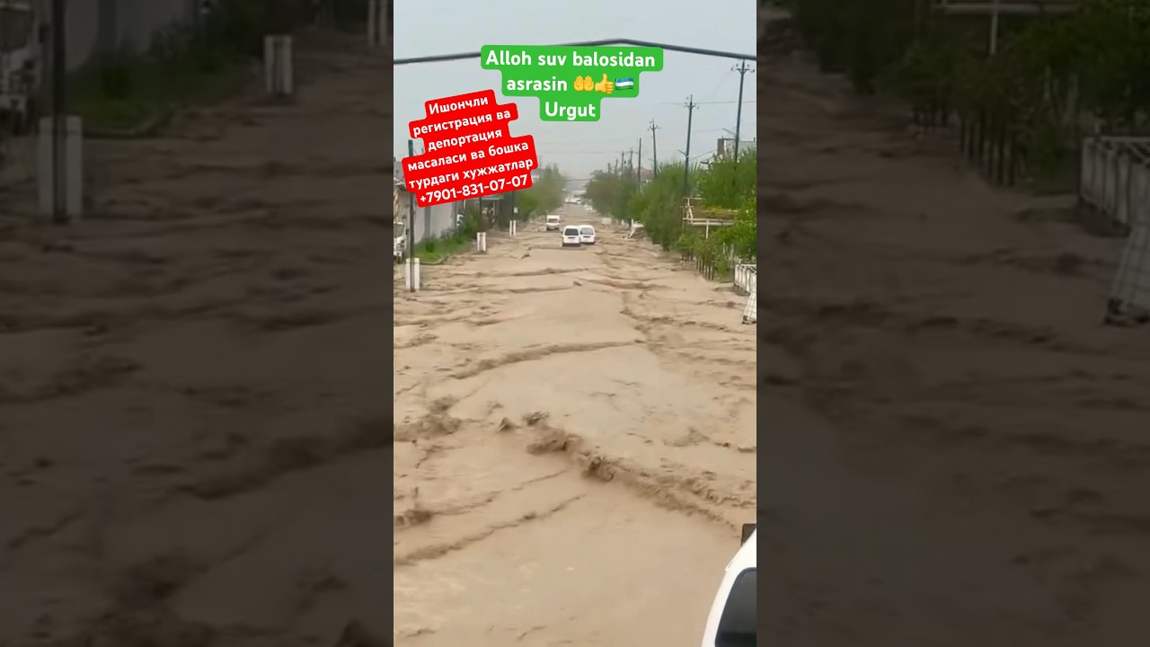 Alloh sabr bersin Samarqand Urgut sel keldi. Suv balosidan Allohni o'zi asrasin 🇺🇿❤️🤲👍