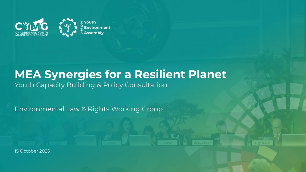 MEA Synergies for a Resilient Planet: Youth Capacity Enhancement on the #RoadtoUNEA