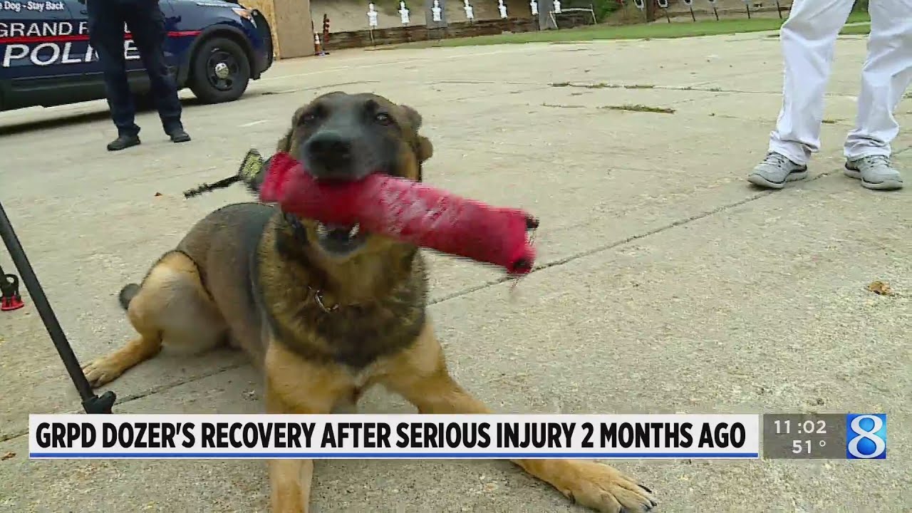 GRPD K-9 ‘doing well’ two months after serious crash