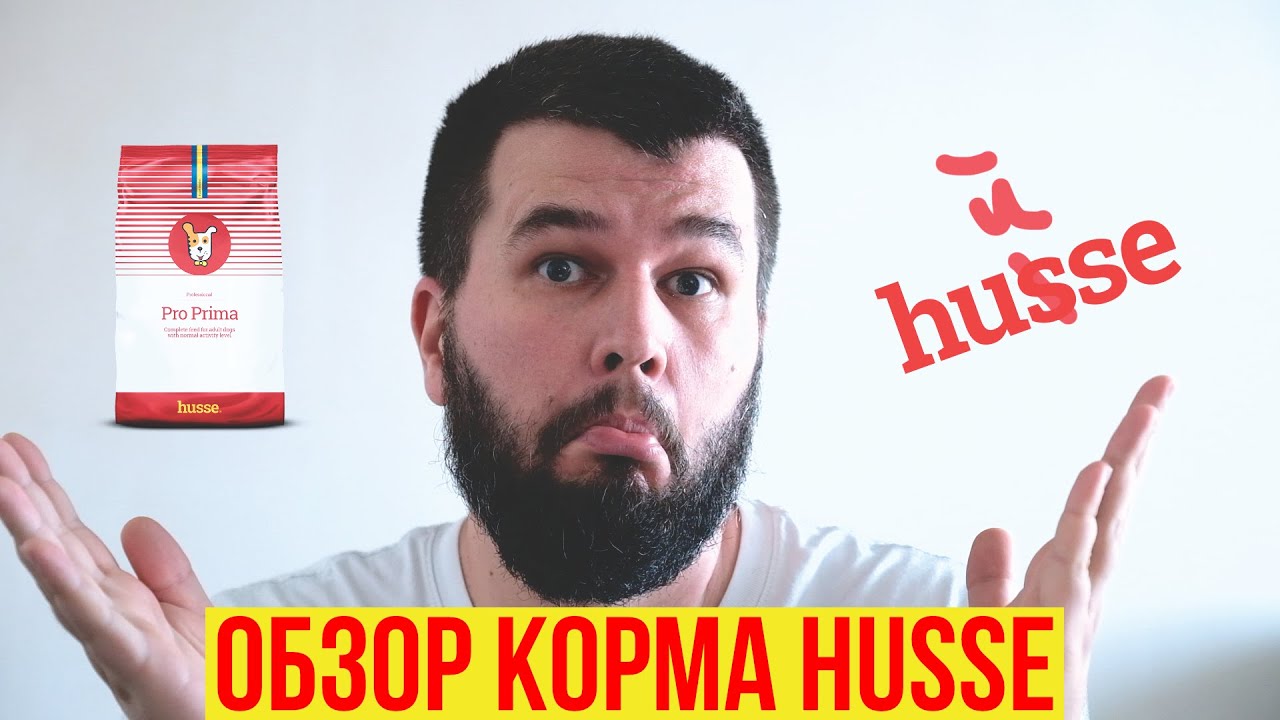 Обзор корма Husse для собак
