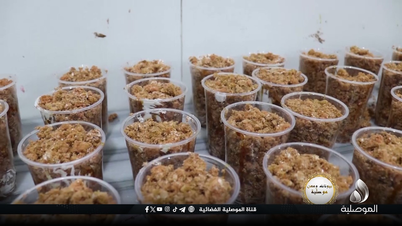 بيوتات ومهن موصلية - مهنة وبيت الحلاوجي في الموصل