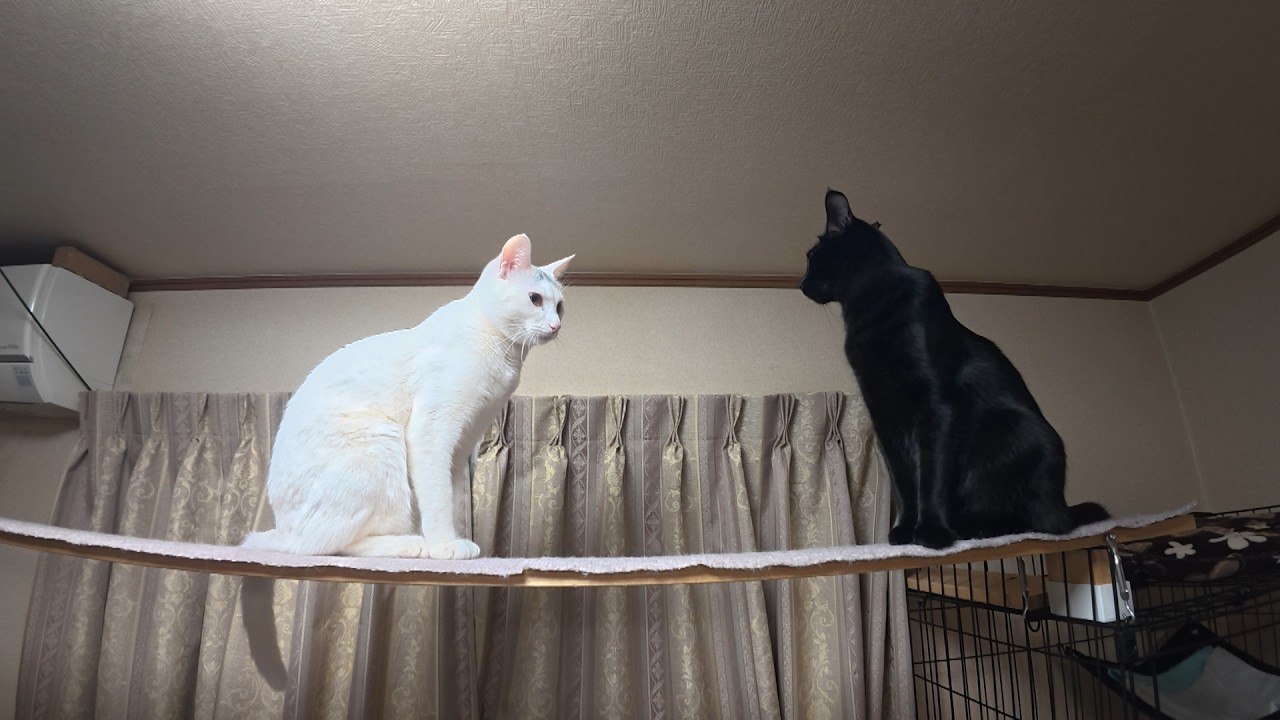 1さいのころのこと