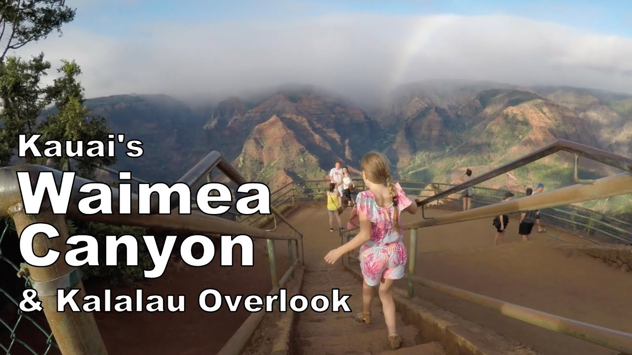 Waimea Canyon & the Kalalau Lookout