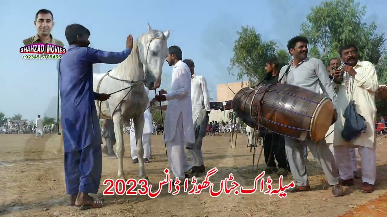 Horse Dance Jashn e Baharan DAK JUTTAN   Horse  Ghora Nach 2023 P=2
